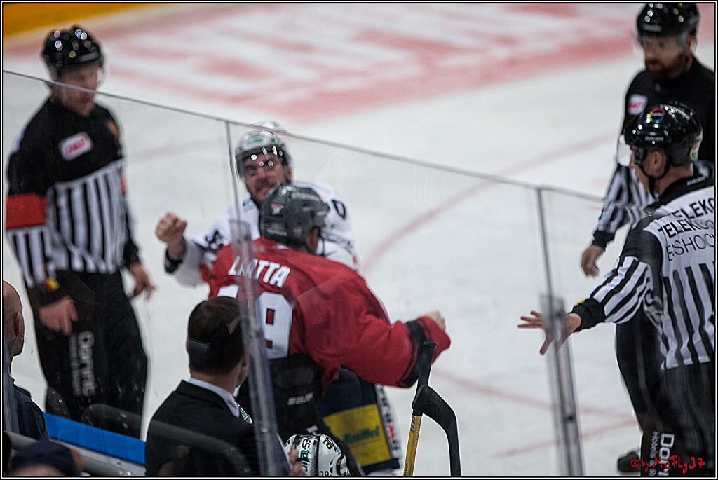 DEL, Koelner Haie - Eisbaeren Berlin, 12.02.2017
